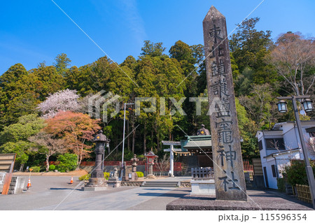 宮城県塩竈市 鹽竈神社 表参道 115596354