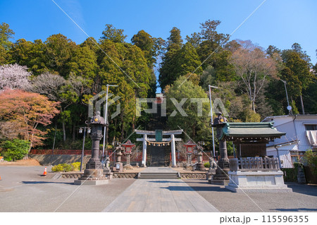 宮城県塩竈市 鹽竈神社 表参道 115596355