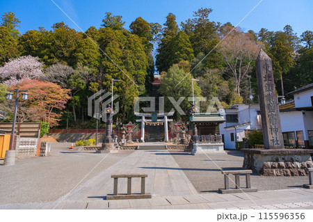 宮城県塩竈市 鹽竈神社 表参道 115596356