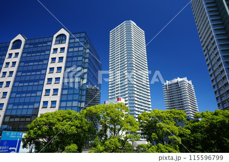 横浜ポートサイドの街並み 115596799