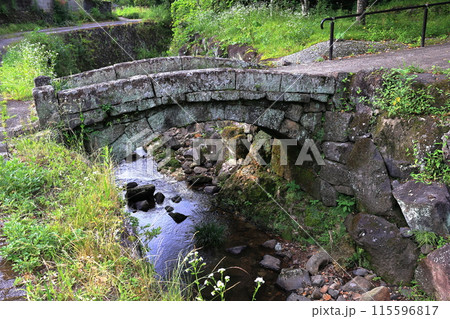 護念寺跡石橋 115596817