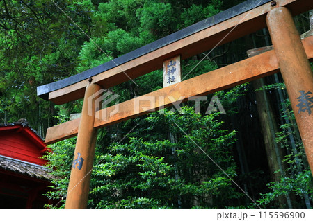 山神社（鹿児島県霧島市横川町上ノ） 115596900