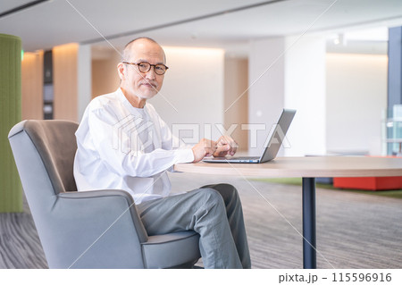 パソコン作業をするアクティブシニア 115596916