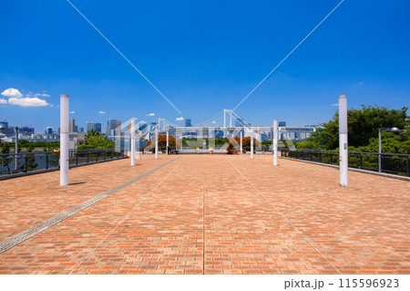 東京都港区 お台場海浜公園、展望デッキ 115596923