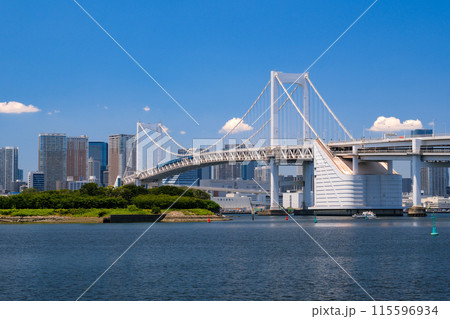 東京都 お台場海浜公園から見るレインボーブリッジ 115596934