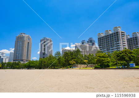 東京都 お台場海浜公園 おだいばビーチ 115596938