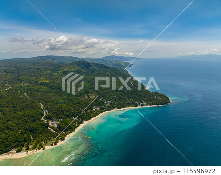 Tropical beach with white sand and trees. Transparent azure water and corals. Samal Island. Davao, Philippines. Tropical beach with white sand and trees. Transparent azure water and corals. Samal Island. Davao, Philippines. 115596972