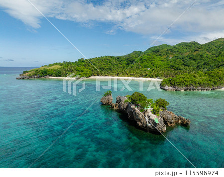 Islet surrounded by turquoise water with corals in Cobrador Island. Romblon, Philippines. 115596974