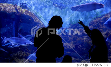 A family is looking at fish in an oceanarium A family is looking at fish in an oceanarium 115597005