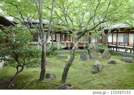 緑の潮音庭 建仁寺方丈庭園 緑の潮音庭 建仁寺方丈庭園 115597133