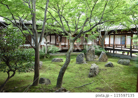 緑の潮音庭 建仁寺方丈庭園 緑の潮音庭 建仁寺方丈庭園 115597135