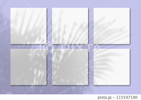 Natural light casts shadows from the tropic plant on 6 square sheets of white textured paper lying on a violet textured background. Mockup 115597190
