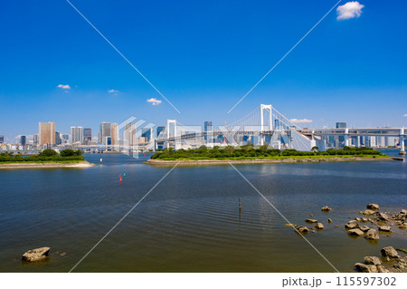 東京都港区 お台場海浜公園、展望デッキから見るレインボーブリッジ 東京都港区 お台場海浜公園、展望デッキから見るレインボーブリッジ 115597302