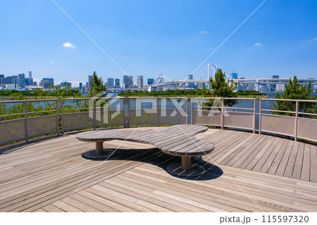 東京都港区 お台場海浜公園 スカイウォーク(空中回廊) 東京都港区 お台場海浜公園 スカイウォーク(空中回廊) 115597320