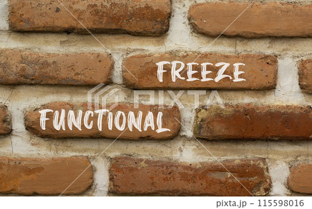 Functional freeze symbol. Concept words Functional freeze on beautiful brick wall. Beautiful red brown brick wall background. Business psychology functional freeze concept. Copy space. 115598016