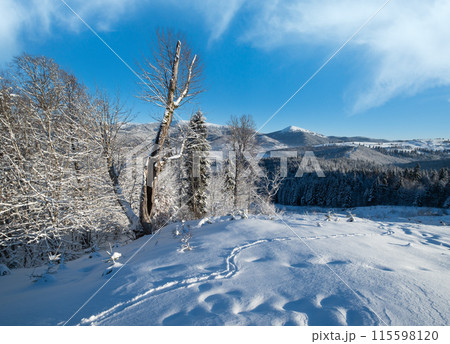 Winter Gorgany massiv mountains scenery view from Yablunytsia pass, Carpathians, Ukraine. 115598120