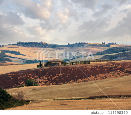 Tuscany sunrise countryside, Italy 115598330