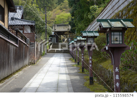 長楽寺　参道と山門　京都市東山区円山町 115598574