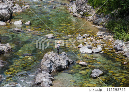 渓流での鮎釣り【岐阜県板取川】 115598735