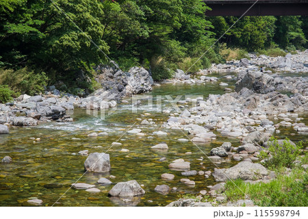 緑に包まれた渓流【岐阜県板取川】 115598794