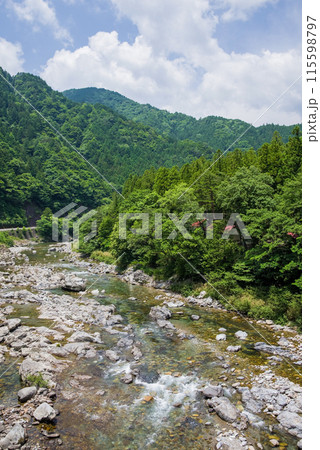緑に包まれた渓流【岐阜県板取川】 115598797