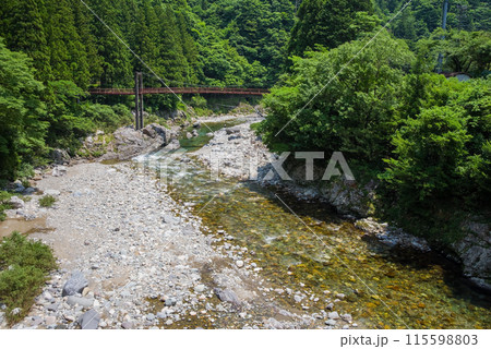 緑に包まれた渓流【岐阜県板取川】 緑に包まれた渓流【岐阜県板取川】 115598803