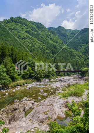 緑に包まれた渓流【岐阜県板取川】 115598812