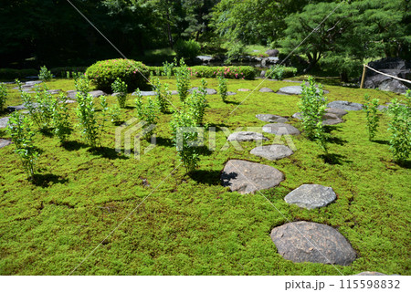 旧三井家下鴨別邸 庭園 京都市左京区 旧三井家下鴨別邸 庭園 京都市左京区 115598832