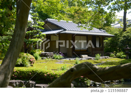 旧三井家下鴨別邸　茶室　京都市左京区 115598887