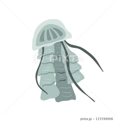 Stylized jellyfish isolated on white background. Aquatic Invertebrate and marine life. Medusa vector hand drawn flat illustration. 115599006