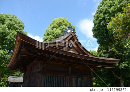 新緑の上賀茂神社 井戸舎 京都市北区 新緑の上賀茂神社 井戸舎 京都市北区 115599273