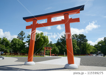 新緑の上賀茂神社　大鳥居　京都市北区 115599275