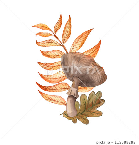Mushroom, fly agaric, leaves, branches, autumn, oak, forest, hand-drawn watercolor illustrations on a white background are suitable for printing postcards, posters, holiday decorations, textiles. 115599298