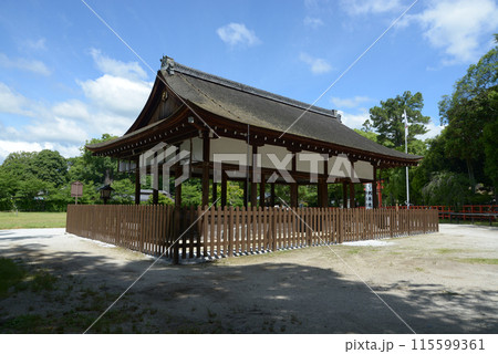 新緑の上賀茂神社　馬場殿　京都市北区 115599361