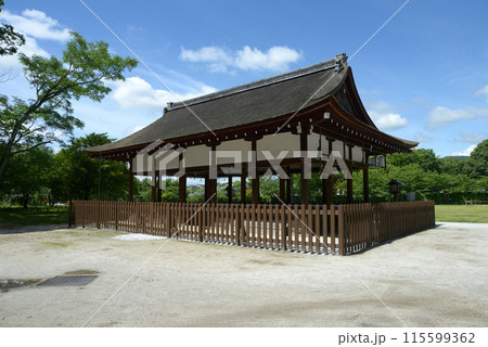 新緑の上賀茂神社 馬場殿 京都市北区 新緑の上賀茂神社 馬場殿 京都市北区 115599362