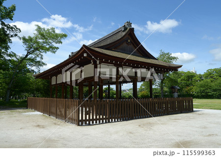 新緑の上賀茂神社　馬場殿　京都市北区 115599363
