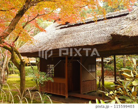 紅葉した日本庭園 紅葉した日本庭園 115599403