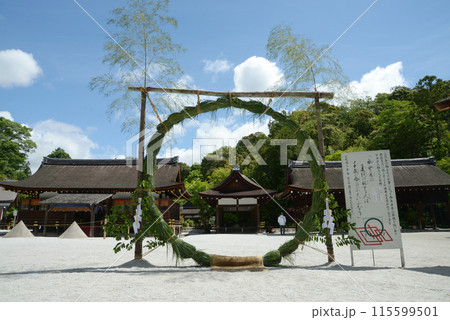 新緑の上賀茂神社 茅の輪 京都市北区 新緑の上賀茂神社 茅の輪 京都市北区 115599501