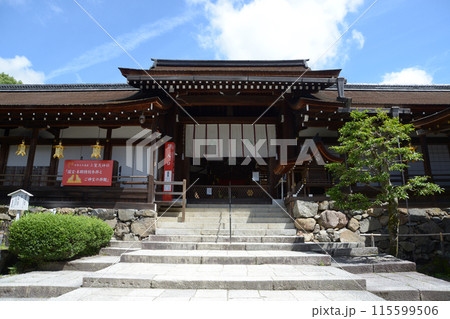 新緑の上賀茂神社　本殿　京都市北区 115599506