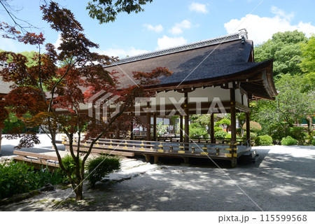 新緑の上賀茂神社　橋殿　京都市北区 115599568