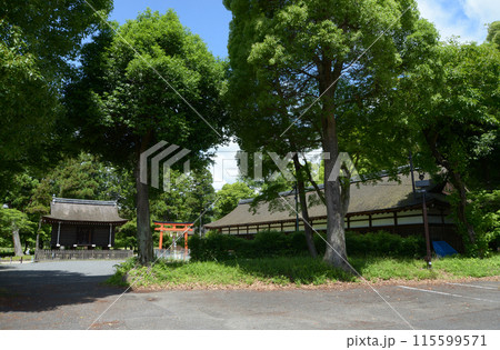 新緑の上賀茂神社 校倉と庁屋 京都市北区 新緑の上賀茂神社 校倉と庁屋 京都市北区 115599571