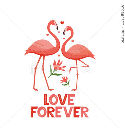 Pink flamingo birds and Love Forever lettering.のイラスト素材