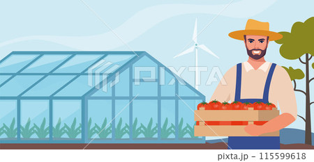 Man farmer stands near greenhouse and holding box of tomatoes in hands. Farming plant cultivation. Design for agriculture, horticulture or agronomy. Template for banner, poster, flyer. Vector. 115599618