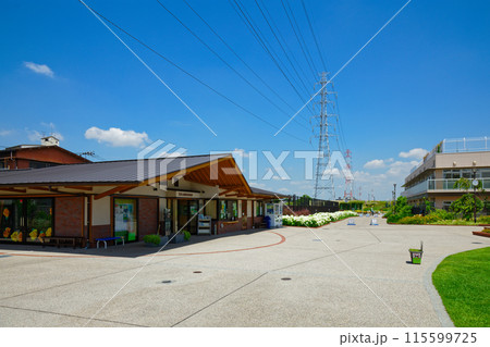 宮前公園管理事務所と白色のアナベル　紫陽花 115599725