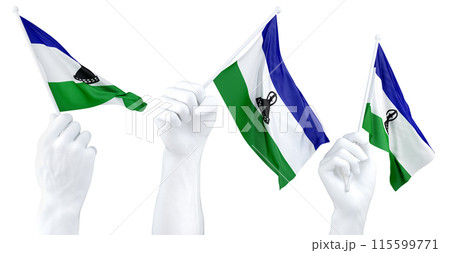 Hands waving Lesotho flags isolated on white 115599771