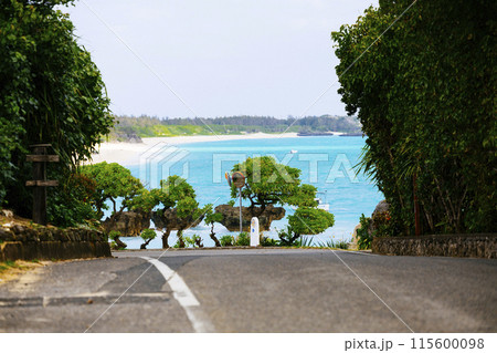 海に続く道 115600098