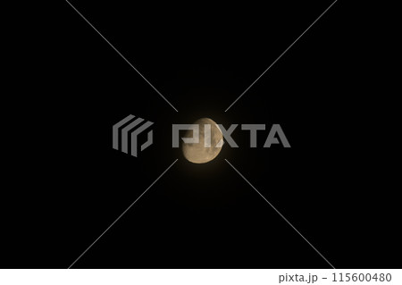 月齢11.4、卯月四月朧月 115600480