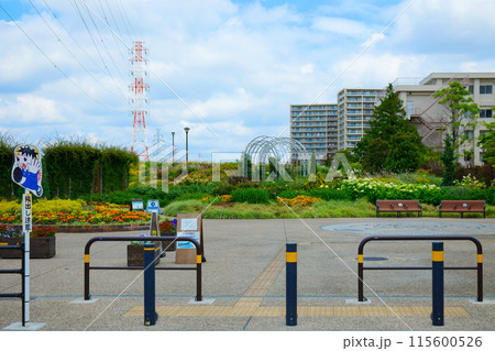 宮前公園　カラフルなガーデン　花壇 115600526