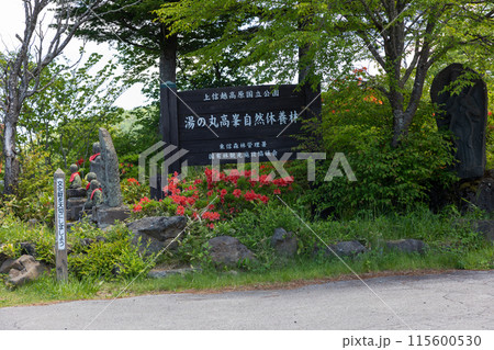 湯の丸高原 地蔵峠 湯の丸高原 地蔵峠 115600530