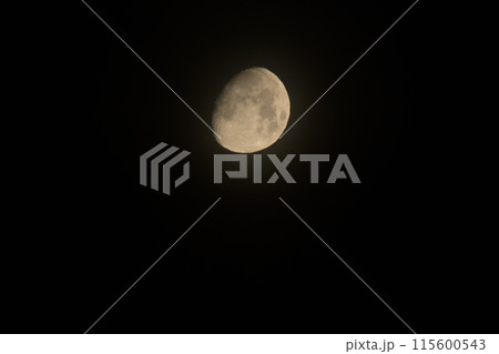 月齢11.4、卯月四月朧月 115600543